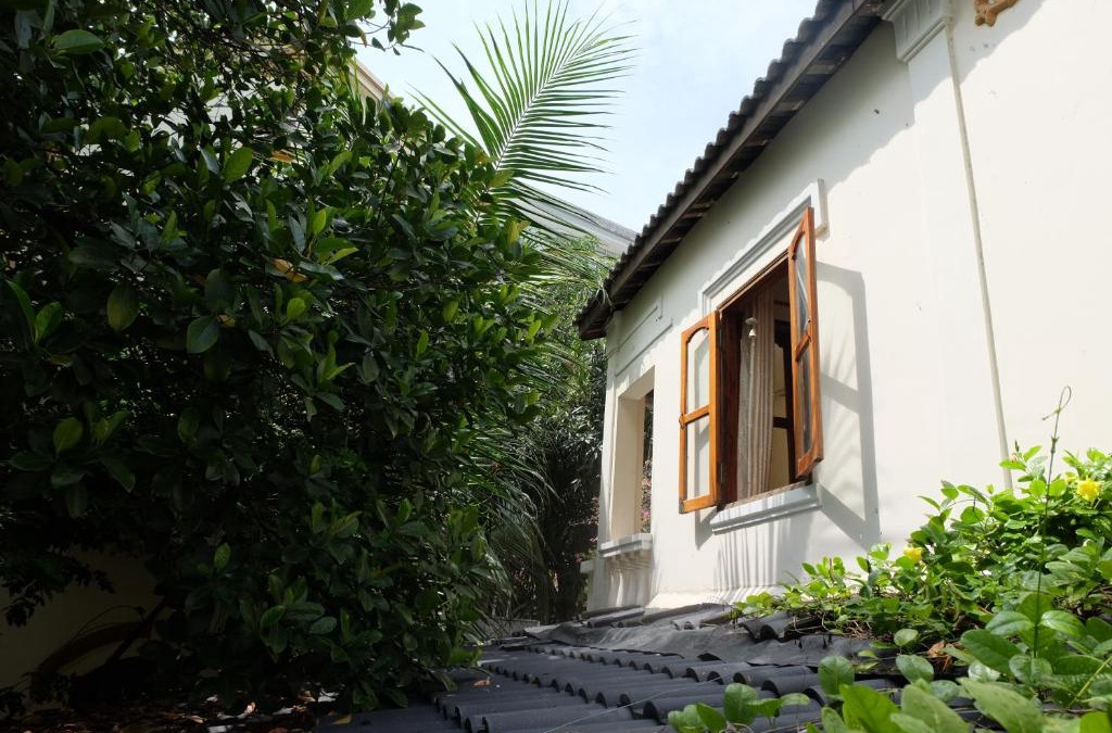 Phuoc Long House | Moon house tropical garden - Lavender