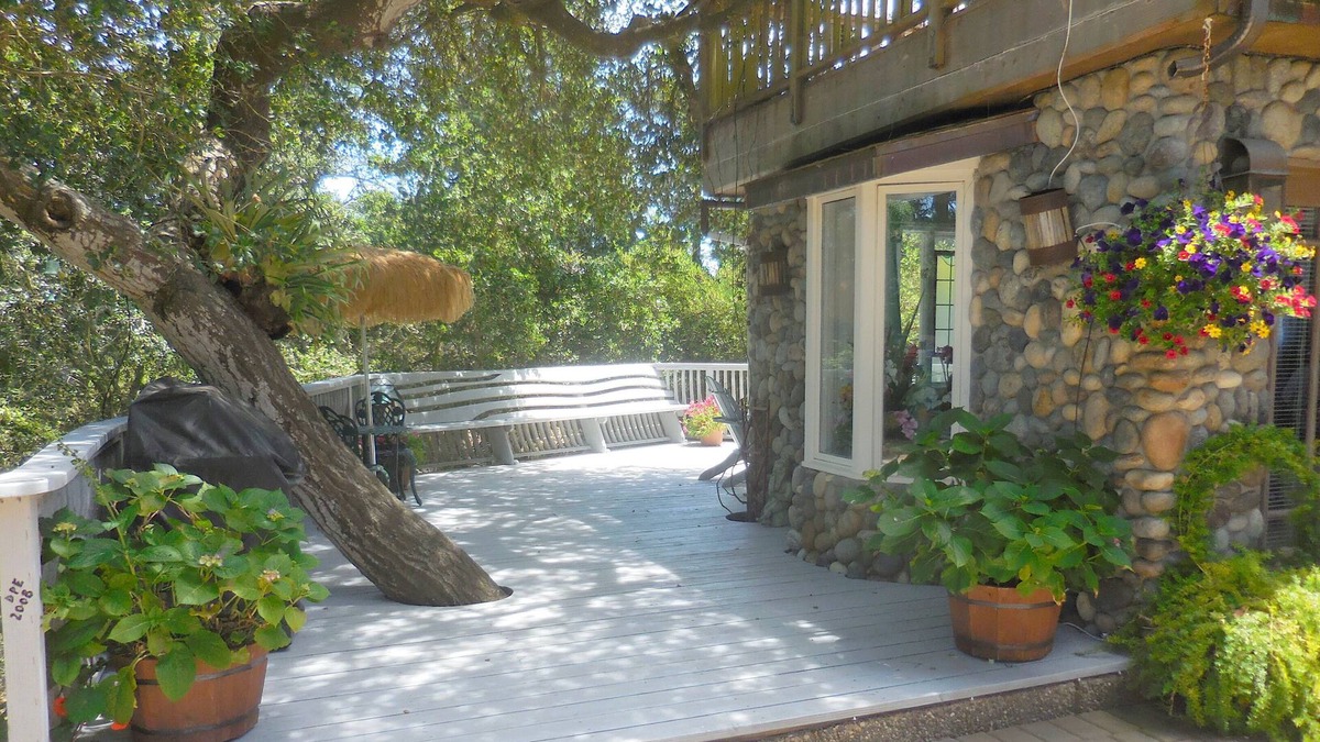 Carmel Cottage | Moonglow: Forest tranquility minutes from downtown Carmel.