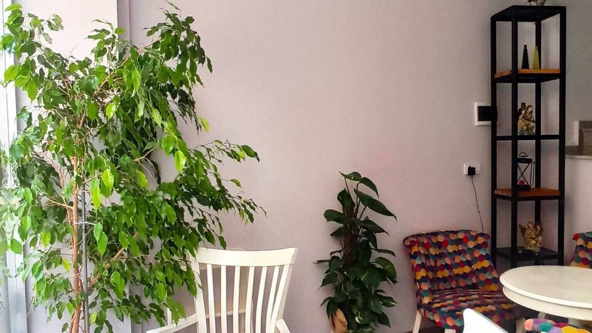 Canakkale Hotel | Moonlight Ay Isigi