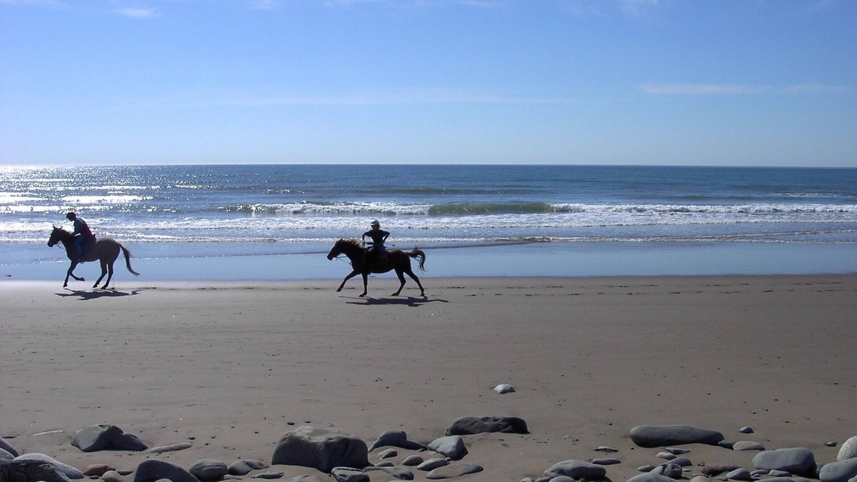 East Lawrencetown House | Moonlight Beach Suites
