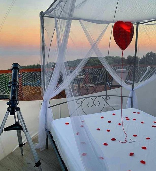 Camerota Other | Moonlight Bubble Room