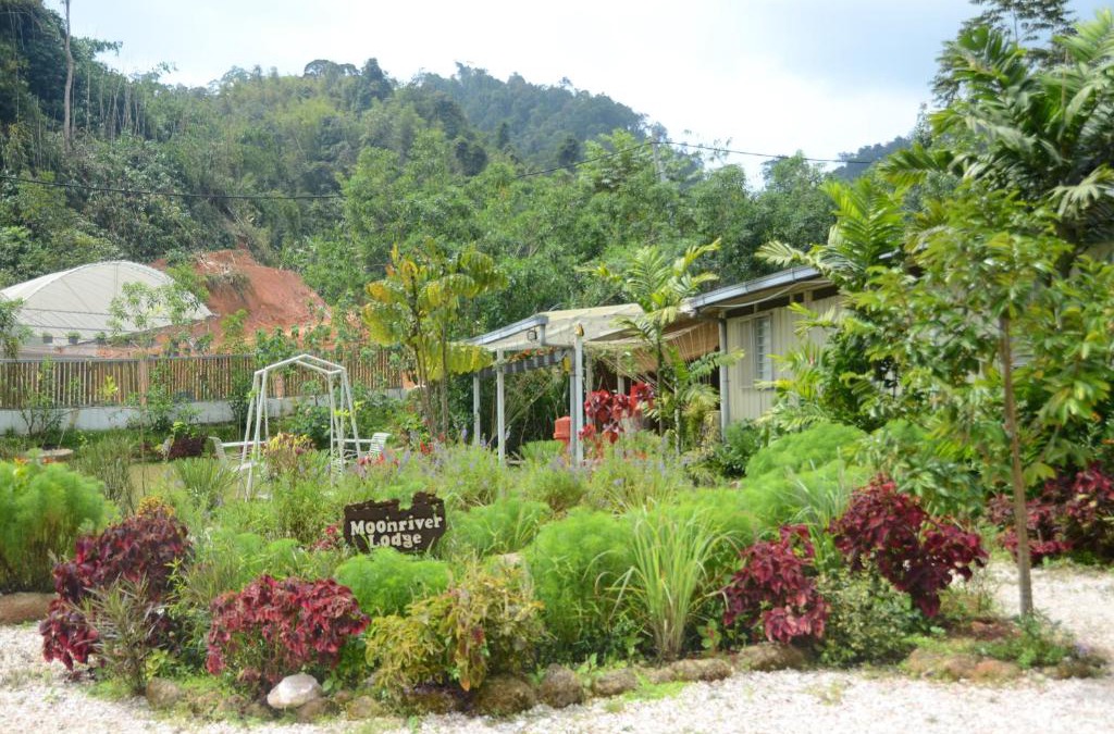 Lojing House | Moonriver Lodge