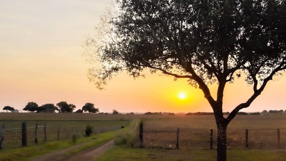 Shiner Other | MoonShiner Farm - Shiner TX
