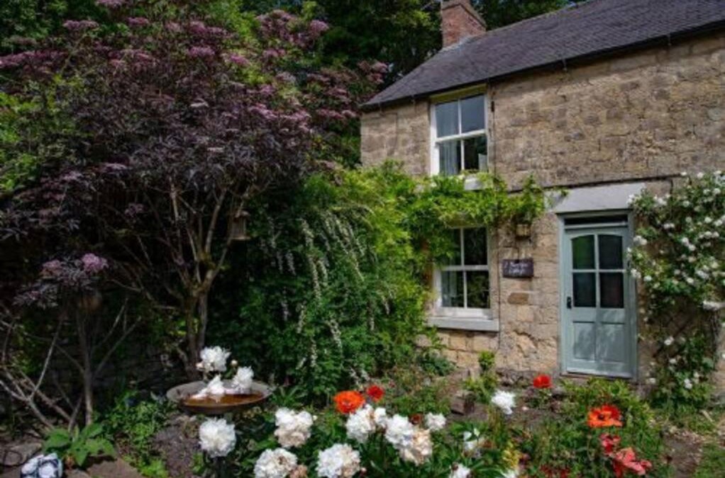 Lockton House | Moor View