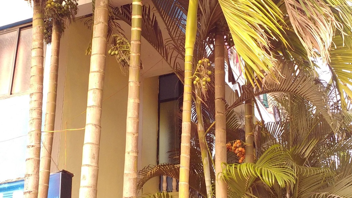 Morjim Hotel | Morjim Bay Resort