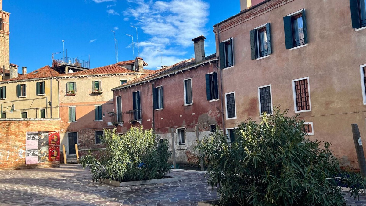 Castello Apartment | Morosina Canal View (500m from S.Mark's Square)