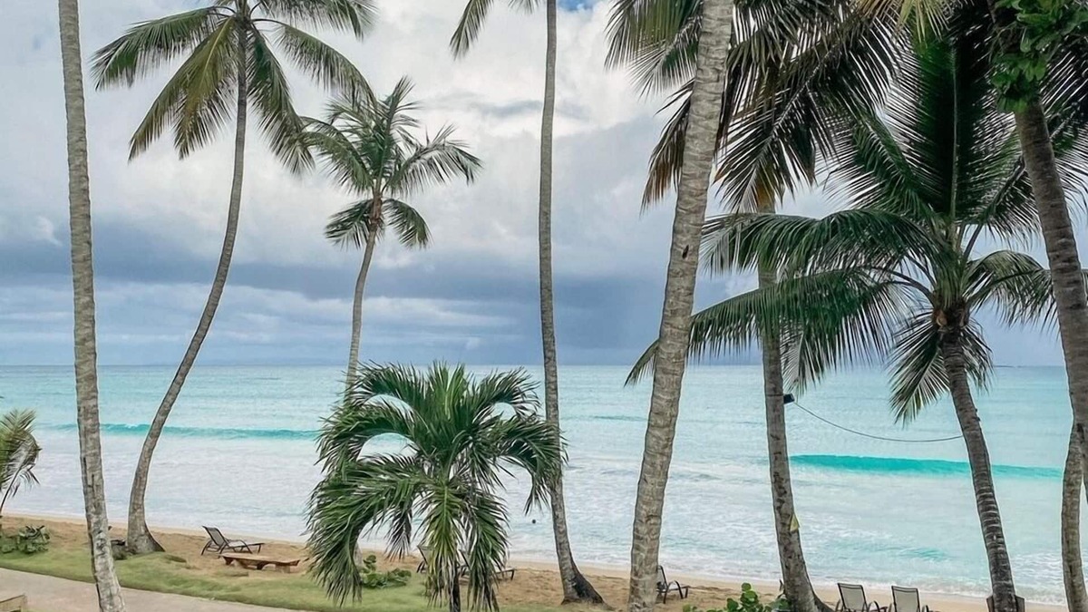 Las Terrenas Hotel | Mosquito Boutique Hotel