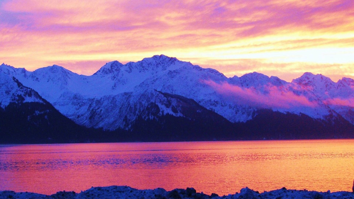 Seward Bed & Breakfast | Most Charming B&B, Eco-Friendly Guest House and Wildlife Retreat in Alaska