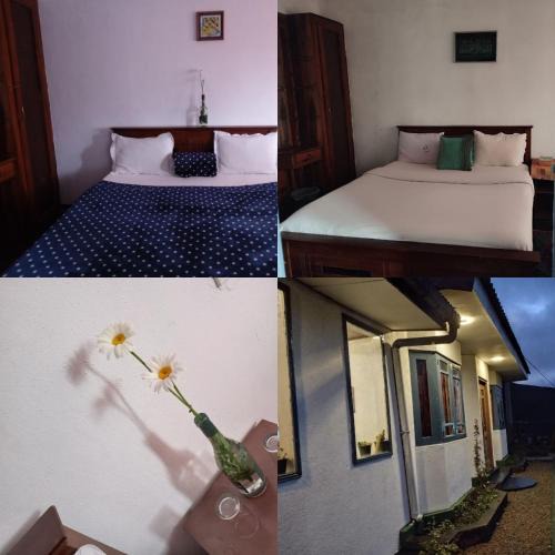 Nuwara Eliya Ski Chalet | Mount View Cottage