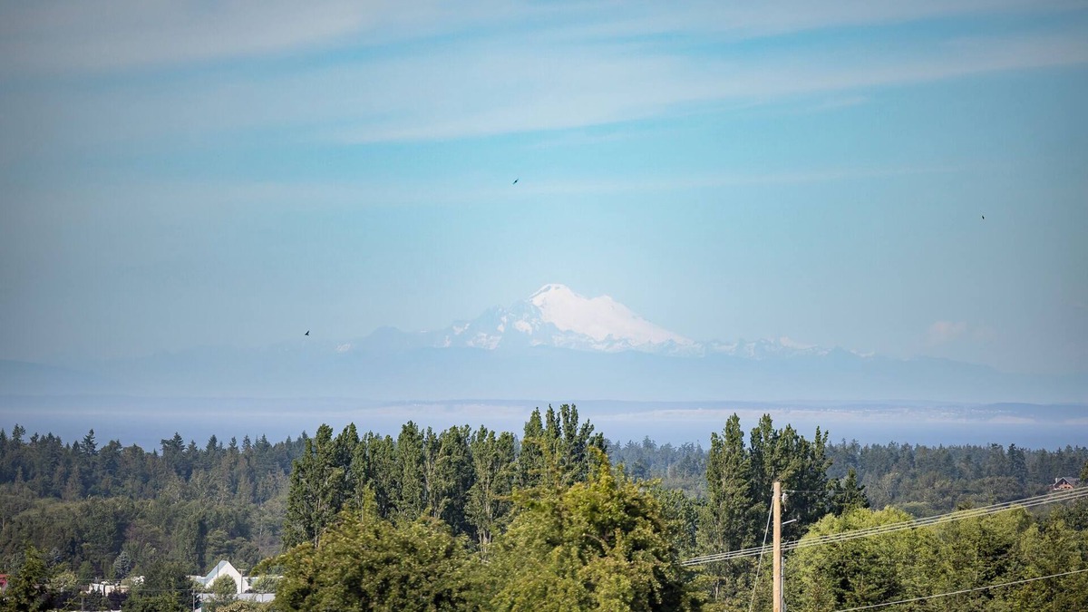 Sequim House | Mountain and Water View at Charming 2-bedroom Retreat in Sequim