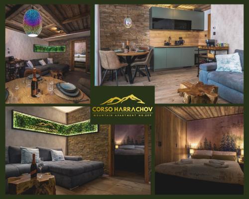 Harrachov Apartment | Mountain Apartment No 209-CORSO Harrachov, High Speed WI-FI, Ambilight smart TV, Netflix, YouTube, FREE parking, PRIVATE ski storage, "Ski-in Ski-out"