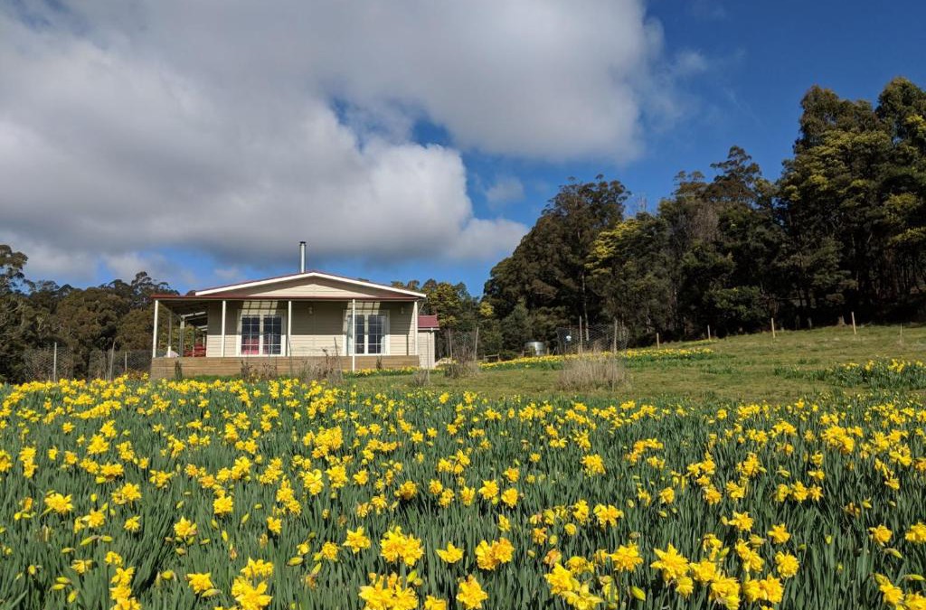 Golden Valley House | Mountain Blue Guest House
