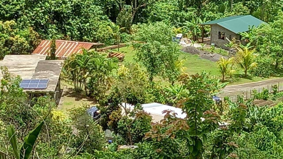 Georgetown Cottage | Mountain Cottage surrounded by the native birds, the Amazona Guildingii