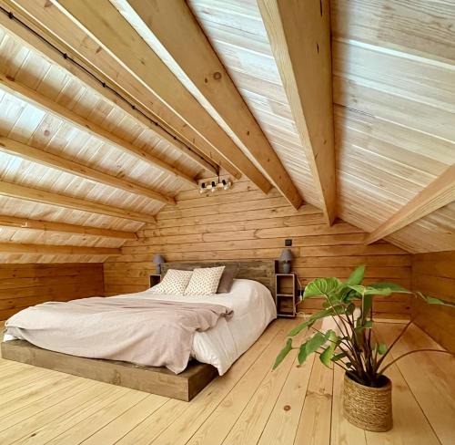 Monte Other | Mountain Eco Shelter 5