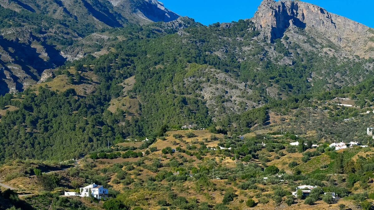 Canillas de Aceituno House | Mountain refuge next to the Sierra de Tejeda Natural Park