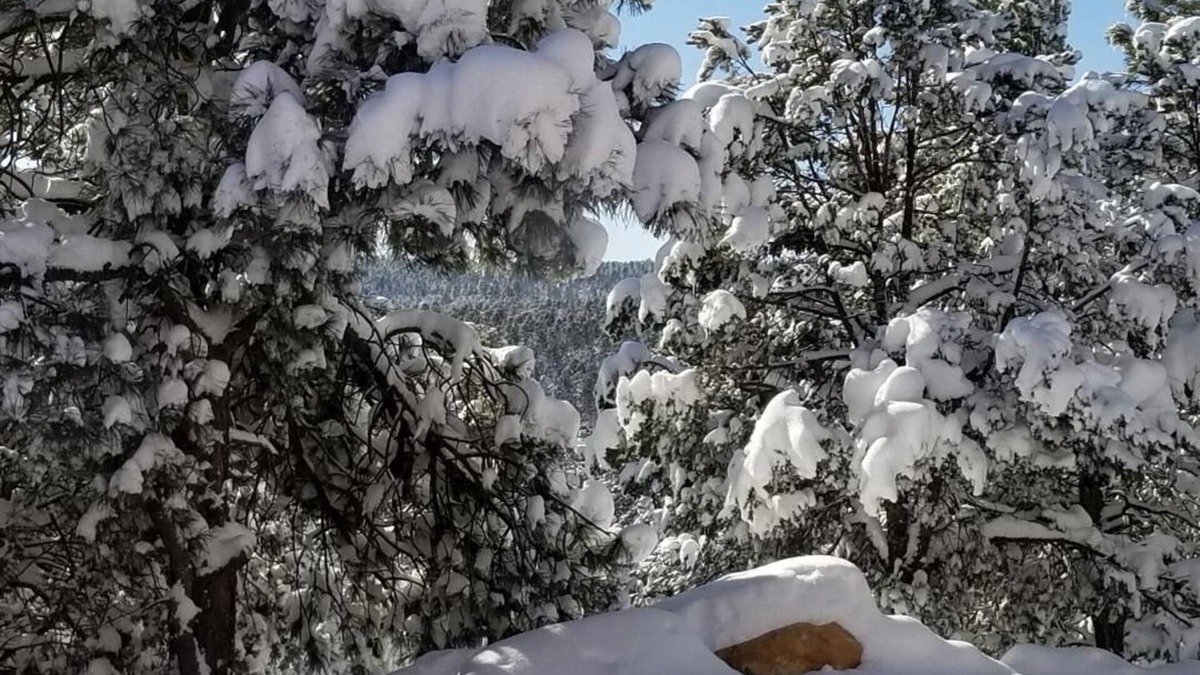 Tijeras House | Mountain Escape, Next to the Cibolo National Forest. Mountain Biking & Hiking!