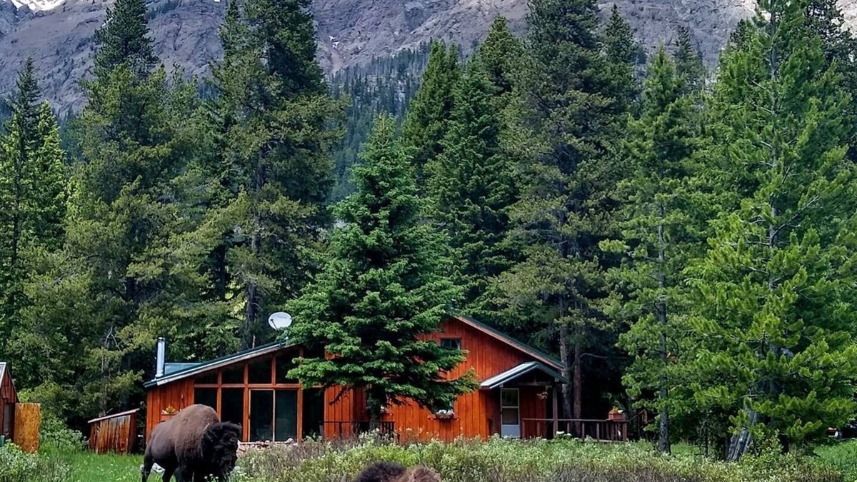 Silver Gate House | Mountain View House Right on Soda Butte Creek