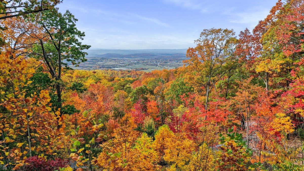 New Market Cabin | Mountain View Cabin~HotTub~Fireplace~King Bed