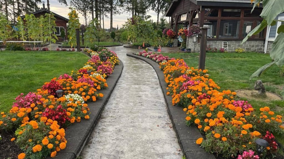 Pitt Meadows House | Mountain View Farm Experience!