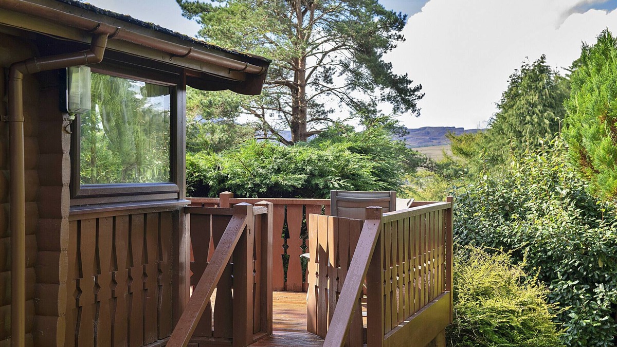 Bronaber Cabin | Mountain View