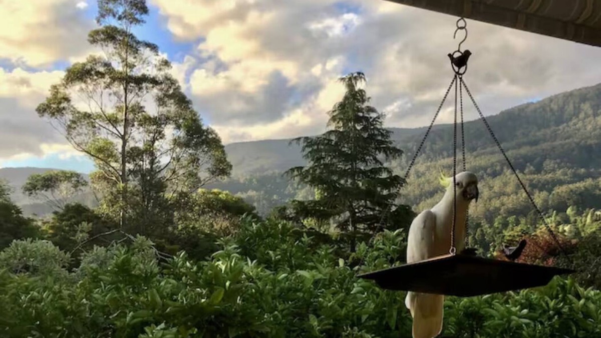 Warburton House | Mountain View Lodge in Warburton
