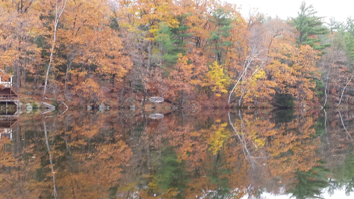 Farmington Falls House | Mountain Views with private House, waterfront , swimming/dock sleeps 8