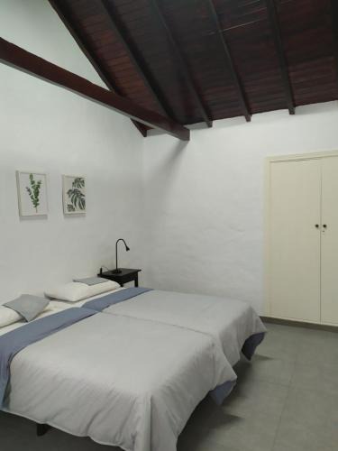 Moya House | Moya, Senderos y naturaleza