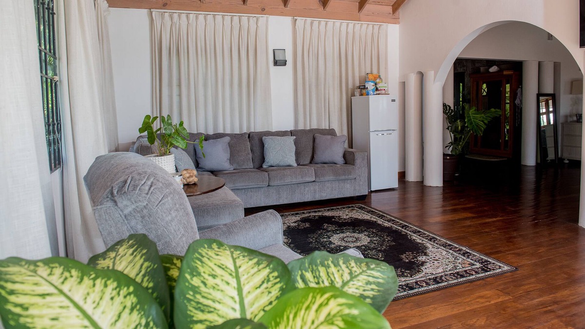 Montego Bay Apartment | Mr X Suite Music Mansion/ Xperience w/ Sauna,Pool,Jacuzzi, Beach Access, Staff