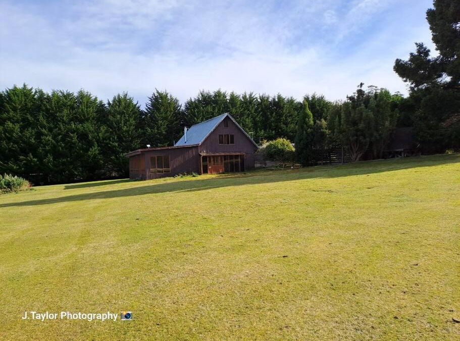 Gray House | Mt Elephant Bush Retreat - Gray