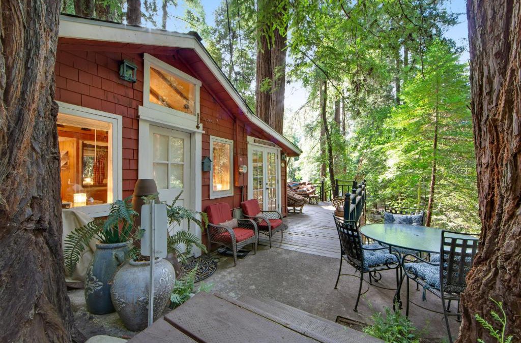 Mount Hermon House | Mt. Hermon Treehouse