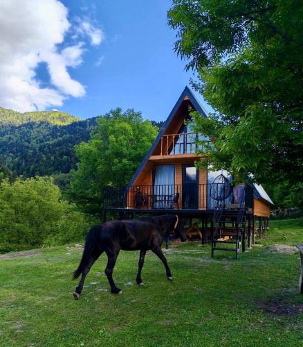 Racha-Lechkhumi and Lower Svaneti House | Mtiskari cottage in Utsera