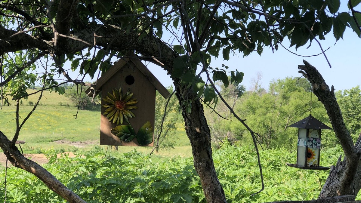 Warren County Cottage | Mulberry Cottage Farm-Stay. A unique farm-stay in Southern Iowa