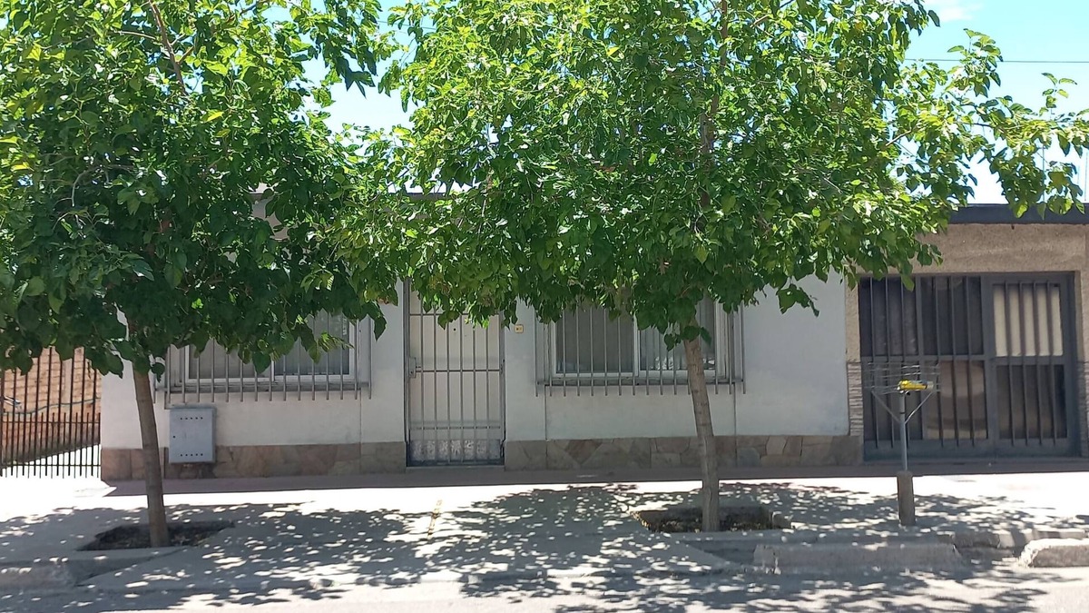 Godoy Cruz House | Mulberry trees