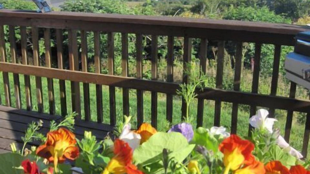 Kachemak House | Musician's Paradise With Spectacular Views