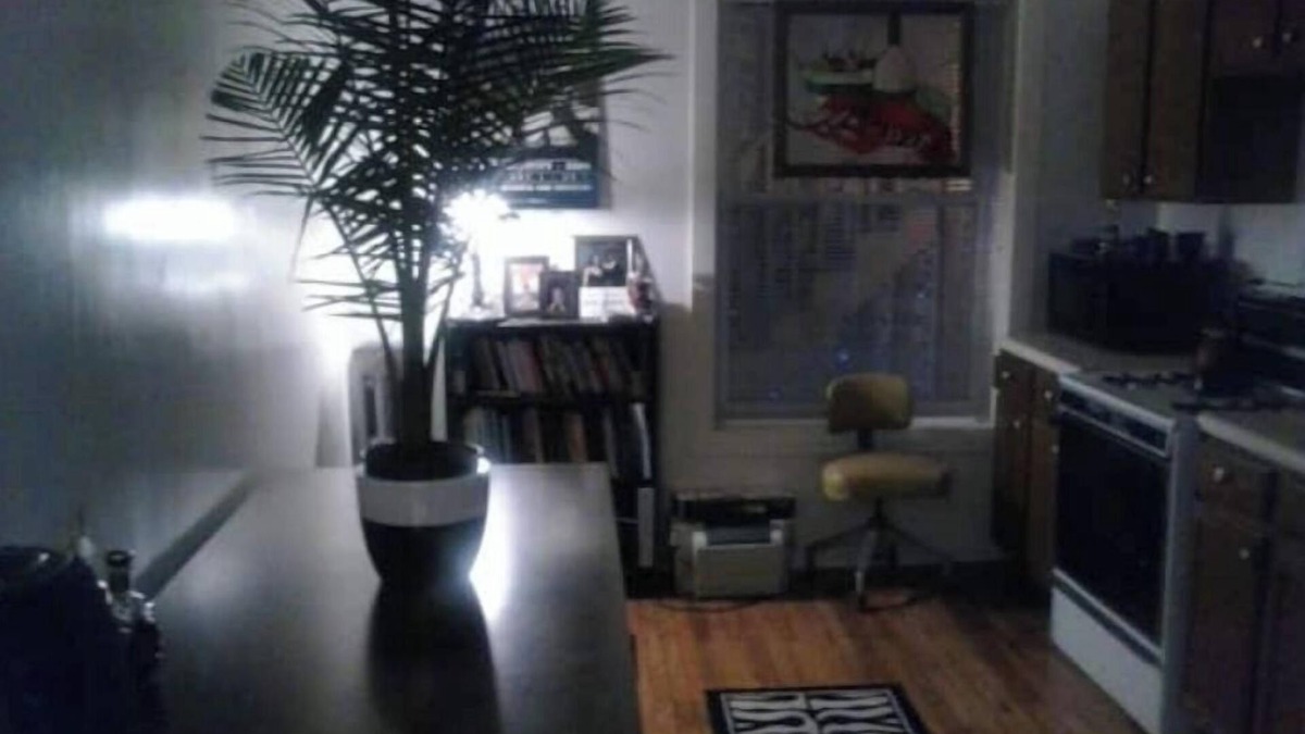 Hyde Park House | Musician's QuartersnnChicago Jazz , Season discount