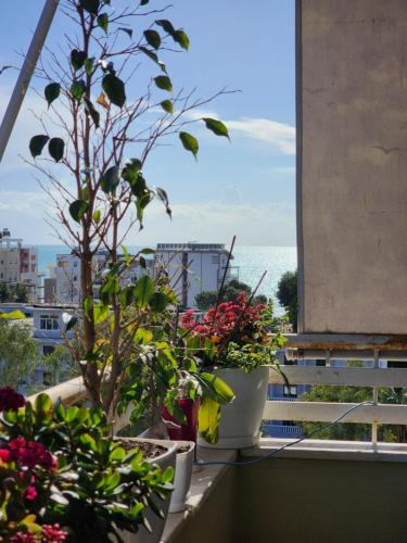 Durres Apartment | My Apartment