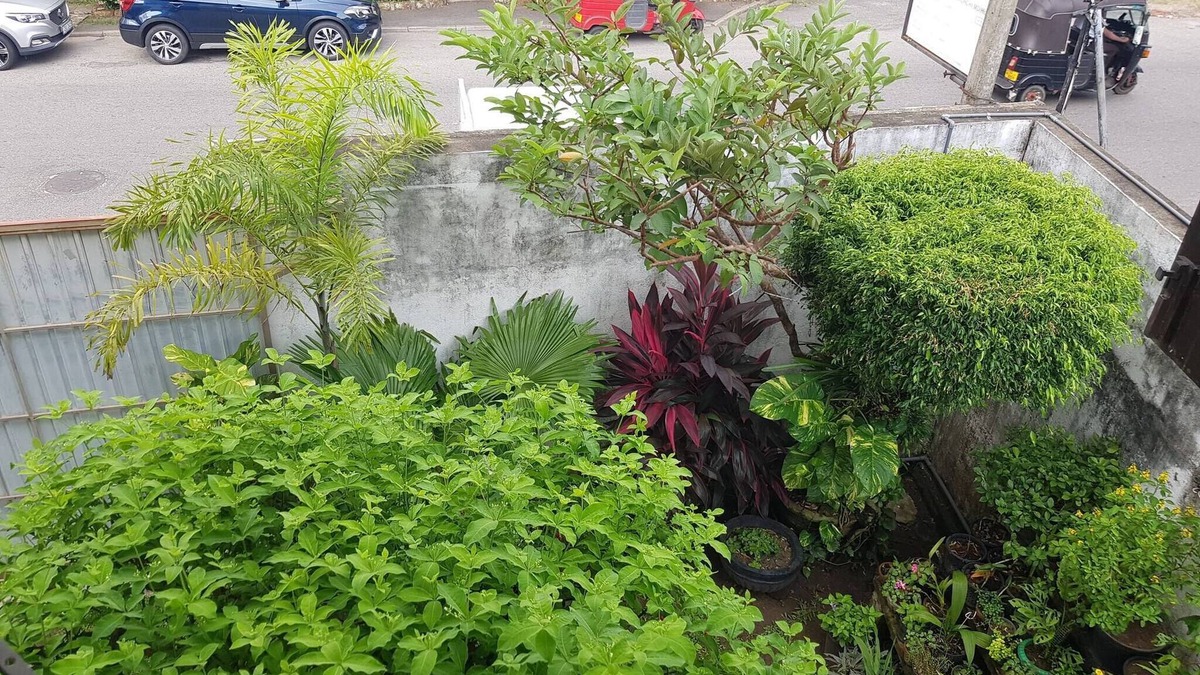 Kirula Apartment | Myhavelock Town Studio Apt, With Own Pvt Gate Parking in Main City