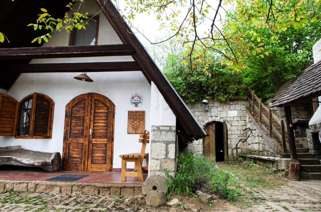 Tarcal House | Myrtus Pince és Vendégház
