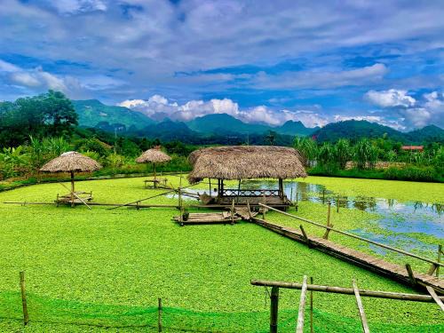 Ha Giang Cabin | Nếp homestay