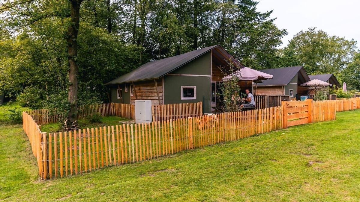 Ruinen Cabin | n/a