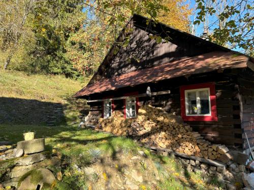 Horni Becva House | Na samotě u lesa