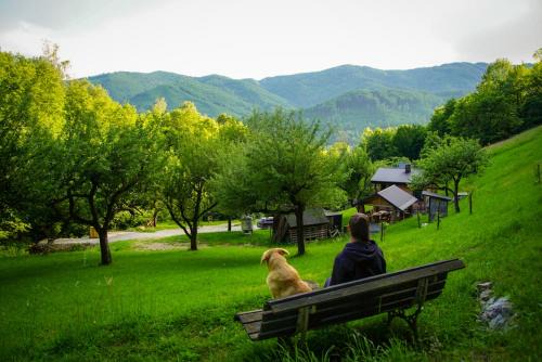 Revuca Cabin | Na samote u lesa