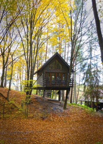 Kazimierz Dolny Apartment | Na Skraju Lasu Domek na Drzewie & Glamping