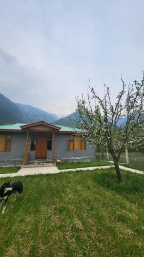 Manali House | Naggar Studio- 3BHK Homestay by Homeyhuts