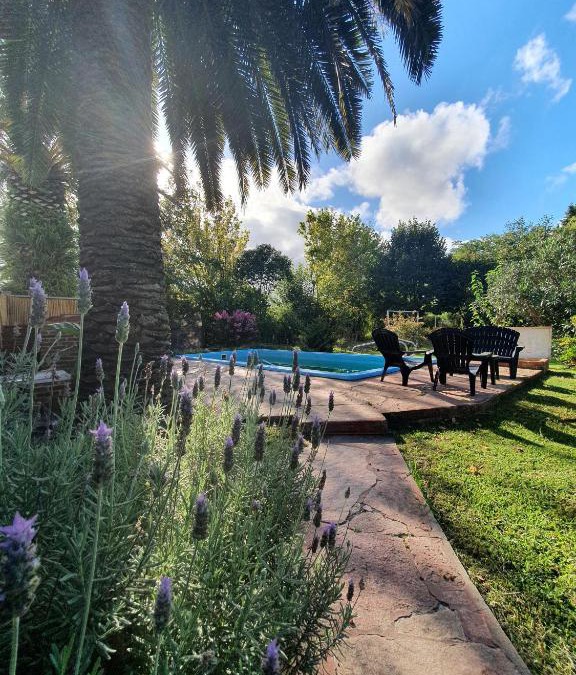 Tristan Suarez House | Nagual B&B - Airport Shuttle