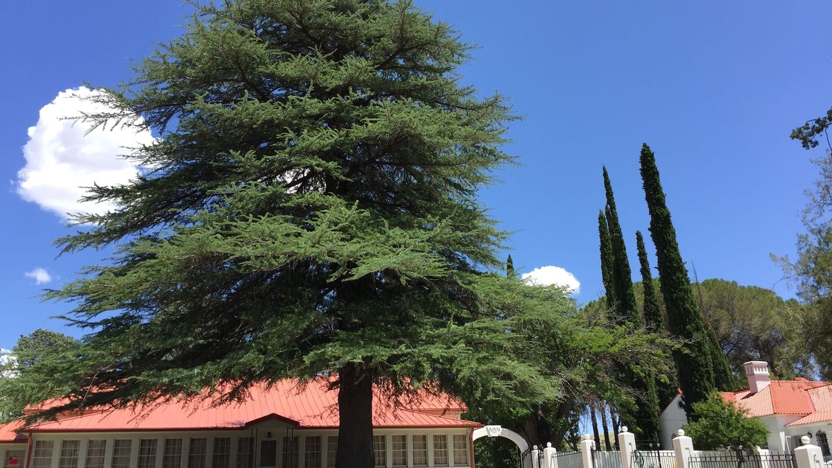 Faywood House | NAN Ranch - On the Magical Mimbres River of New Mexico, a Historic Retreat