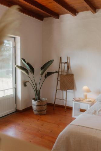 Mafra Cabin | NaNa House Ericeira - Yoga & Surf
