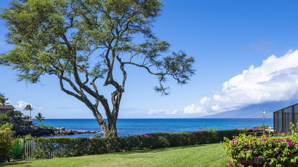 Napili Apartment | Napili Point A27 ~ Tranquil and Private Corner with Oceanfront Views