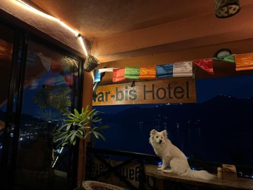Pokhara Hotel | Nar-Bis Hotel