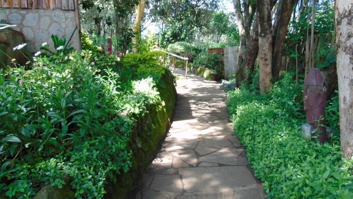 Naro Moru Hotel | Naro Moru River Lodge